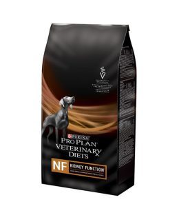 NF KIDNEY FUNCTION PERRO